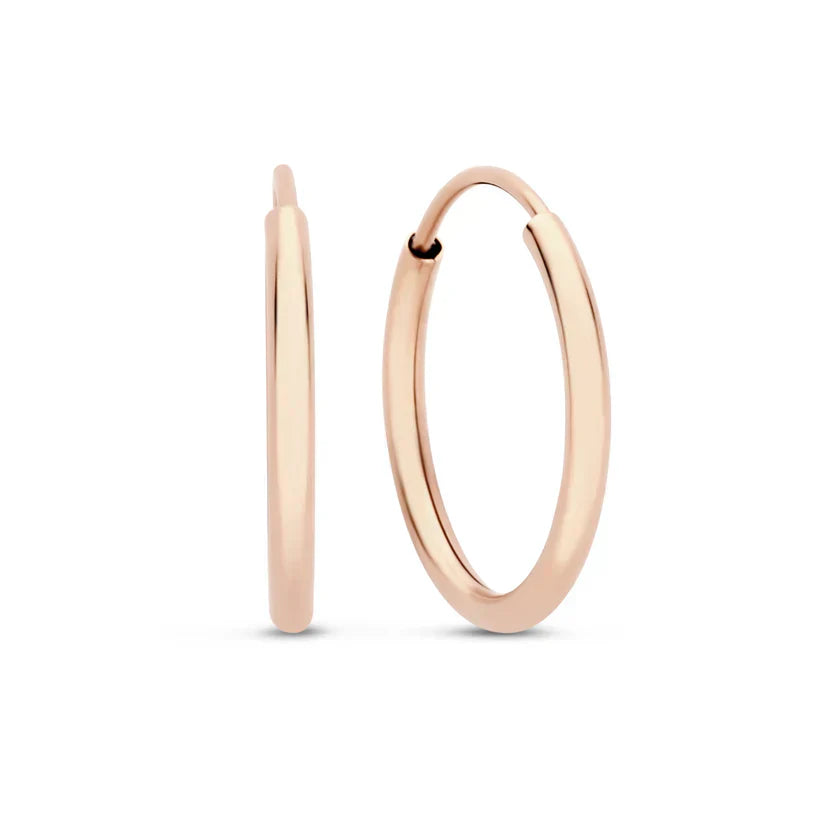 Emelirene | 14K Gold Everyday Luxe Earrings
