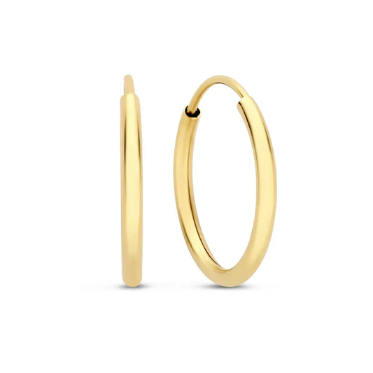 Emelirene | 14K Gold Everyday Luxe Earrings